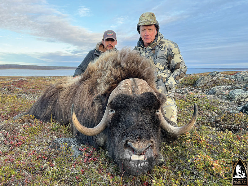 Central Canadian Barren Ground Caribou and Barren Ground Muskox Fall Hunt, Nunavut