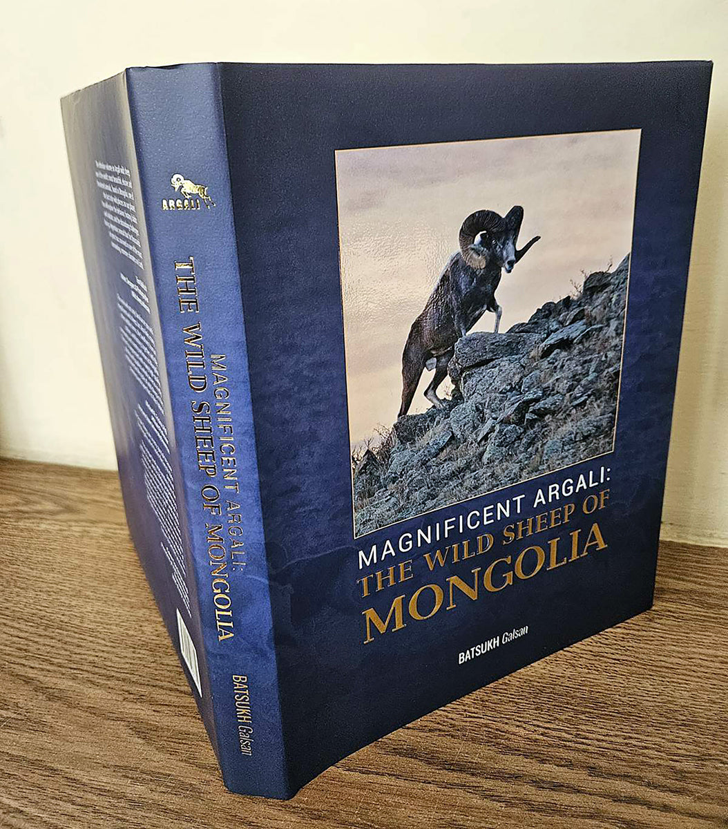 Magnificent Argali: The Wild Sheep of Mongolia