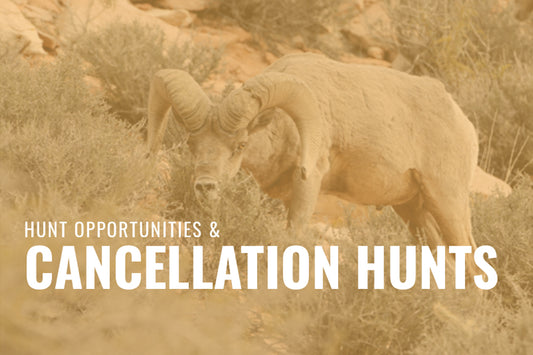 GSCO Supporting Outfitter/Sponsor Hunt Opportunities and Cancellation Hunts