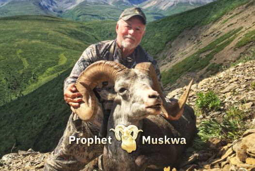 2026 STONE SHEEP HUNT IN BRITISH COLUMBIA